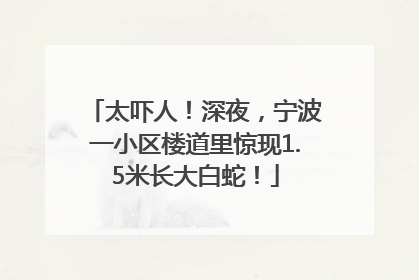 太吓人！深夜，宁波一小区楼道里惊现1.5米长大白蛇！