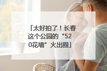 太好拍了！长春这个公园的“520花墙”火出圈
