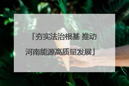 夯实法治根基 推动河南能源高质量发展