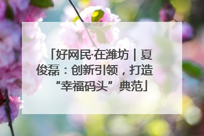 好网民·在潍坊｜夏俊磊：创新引领，打造“幸福码头”典范