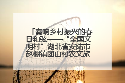 奏响乡村振兴的春日和弦——“全国文明村”湖北省安陆市赵棚镇团山村农文旅融合发展见闻