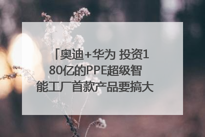 奥迪+华为 投资180亿的PPE超级智能工厂首款产品要搞大事情？｜粤港澳车展