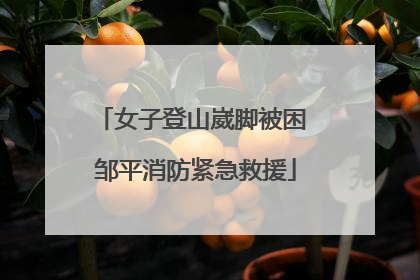 女子登山崴脚被困 邹平消防紧急救援