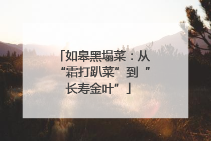 如皋黑塌菜：从“霜打趴菜”到“长寿金叶”