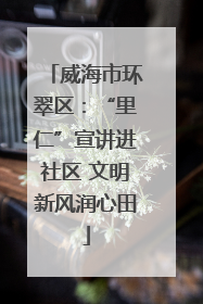 威海市环翠区：“里仁”宣讲进社区 文明新风润心田