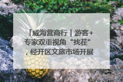 威海营商行｜游客+专家双重视角“找茬”，经开区文旅市场开展暑期前“体检”