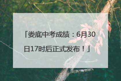娄底中考成绩：6月30日17时后正式发布！