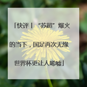 快评丨“苏超”爆火的当下，国足再次无缘世界杯更让人唏嘘