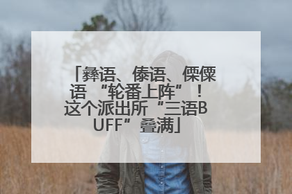 彝语、傣语、傈僳语 “轮番上阵”！这个派出所“三语BUFF”叠满