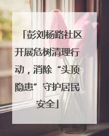 彭刘杨路社区开展危树清理行动，消除“头顶隐患”守护居民安全
