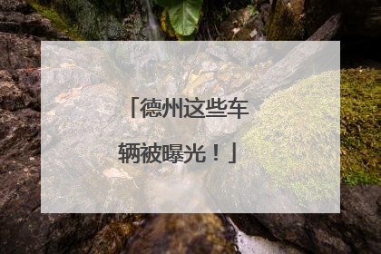 德州这些车辆被曝光！