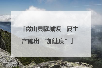 微山县驩城镇三夏生产跑出 “加速度”