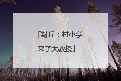 封丘：村小学来了大教授