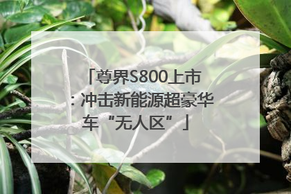 尊界S800上市：冲击新能源超豪华车“无人区”