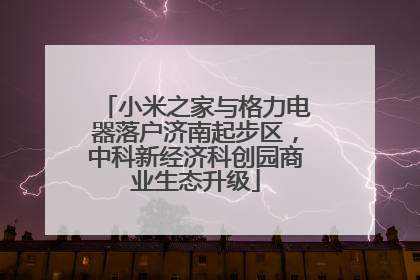 小米之家与格力电器落户济南起步区，中科新经济科创园商业生态升级