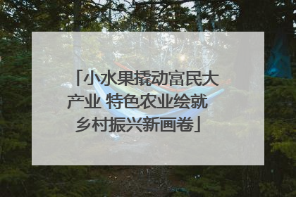 小水果撬动富民大产业 特色农业绘就乡村振兴新画卷