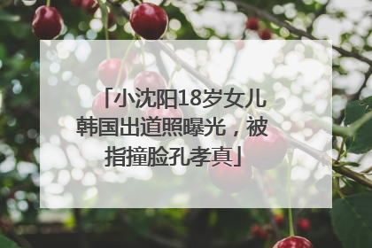 小沈阳18岁女儿韩国出道照曝光，被指撞脸孔孝真
