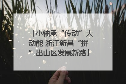 小轴承“传动”大动能 浙江新昌“拼”出山区发展新路