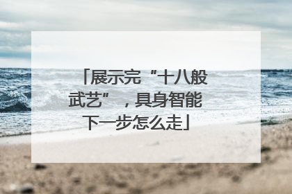 展示完“十八般武艺”，具身智能下一步怎么走