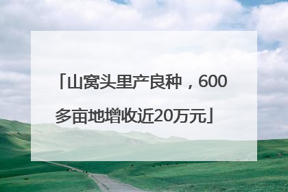山窝头里产良种，600多亩地增收近20万元