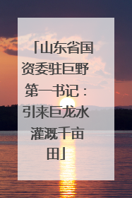 山东省国资委驻巨野第一书记：引来巨龙水 灌溉千亩田