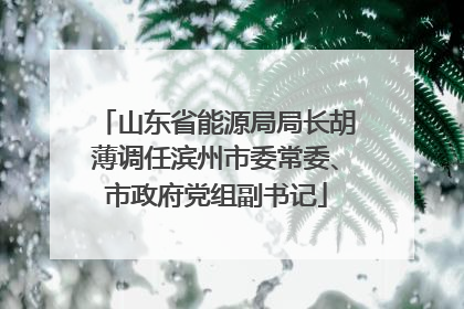 山东省能源局局长胡薄调任滨州市委常委、市政府党组副书记
