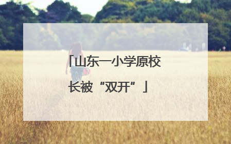 山东一小学原校长被“双开”