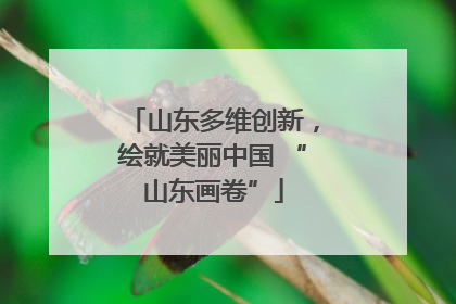 山东多维创新，绘就美丽中国 “山东画卷”