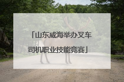 山东威海举办叉车司机职业技能竞赛