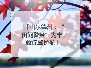 山东德州：“田间警务”为丰收保驾护航
