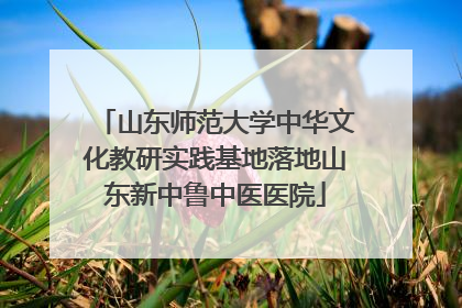 山东师范大学中华文化教研实践基地落地山东新中鲁中医医院