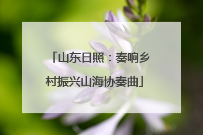 山东日照：奏响乡村振兴山海协奏曲