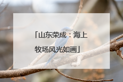 山东荣成：海上牧场风光如画