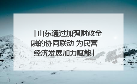 山东通过加强财政金融的协同联动 为民营经济发展加力赋能