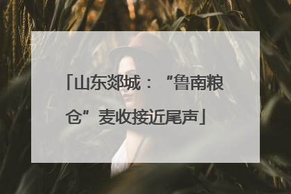 山东郯城：“鲁南粮仓”麦收接近尾声