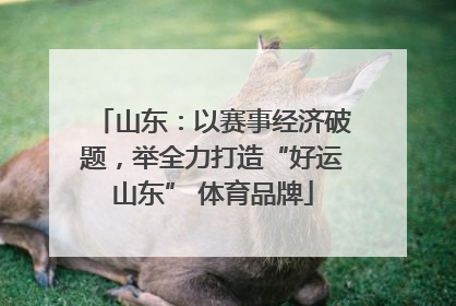 山东：以赛事经济破题，举全力打造“好运山东” 体育品牌