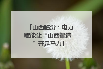 山西临汾：电力赋能让“山西智造”开足马力
