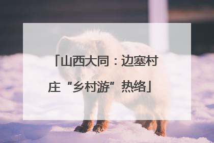 山西大同：边塞村庄“乡村游”热络