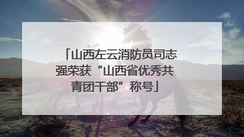 山西左云消防员司志强荣获“山西省优秀共青团干部”称号