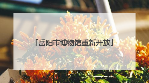 岳阳市博物馆重新开放
