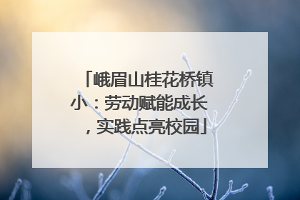 峨眉山桂花桥镇小：劳动赋能成长，实践点亮校园
