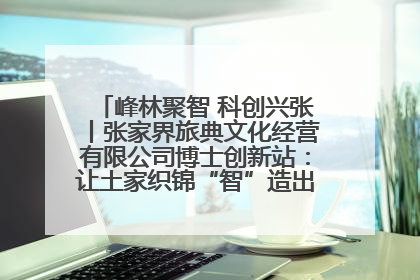 峰林聚智 科创兴张丨张家界旅典文化经营有限公司博士创新站：让土家织锦“智”造出非遗新传奇