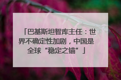 巴基斯坦智库主任：世界不确定性加剧，中国是全球“稳定之锚”