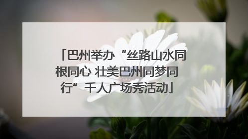 巴州举办“丝路山水同根同心 壮美巴州同梦同行”千人广场秀活动