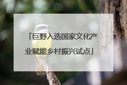 巨野入选国家文化产业赋能乡村振兴试点