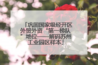 巩固国家级经开区外贸外资“第一梯队”地位——解码苏州工业园区样本