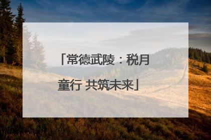 常德武陵：税月童行 共筑未来