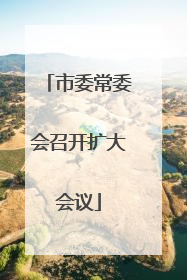 市委常委会召开扩大会议