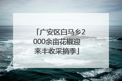 广安区白马乡2000余亩花椒迎来丰收采摘季