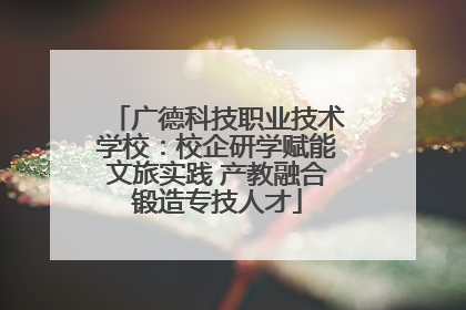 广德科技职业技术学校：校企研学赋能文旅实践 产教融合锻造专技人才